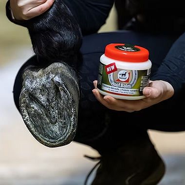 LEOVET Hoof Balm Prebiotic / 450 ml