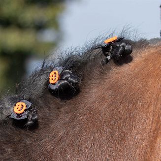 Kokardki do grzywy QHP Kolekcja Halloween / 5317 pumpkin - głowa dyni