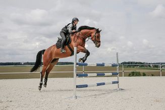 Airbag Vest COVALLIERO / 3211685 - 10