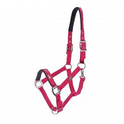 Headcollar SCHOCKEMÖHLE Memphis Style II hot pink / 1311-00015