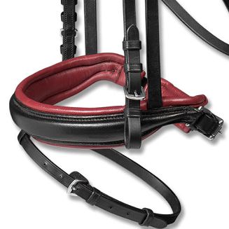 Ogłowie skórzane WALDHAUSEN X-LINE RUBY z nachrapnikiem szwedzkim - black