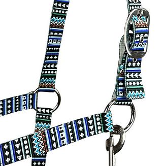 Kantar taśmowy Y Texas, Podszywany neoprenem, niebieski  / 19060 - 2