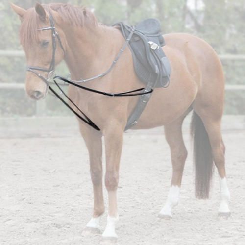 Lunging reins STAR LUNGE DRAW REINS / 808201