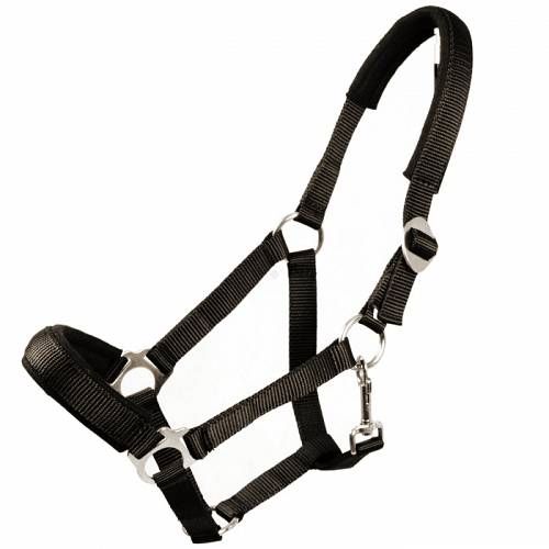 Padded tape halter  MUSTANG black / 0002