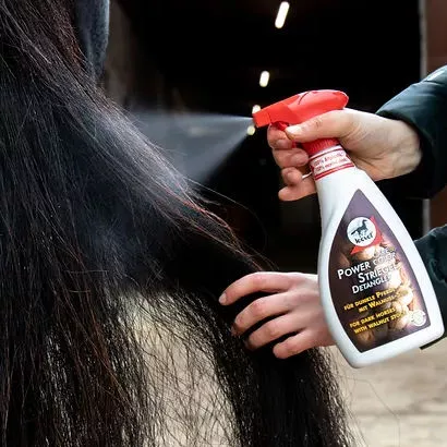 Odżywka dla koni LEOVET Power Striegelz wyciągiem z orzecha włoskiego 550ml / L119