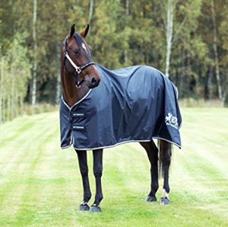 Calisto Rain sheet B//VERTIGO - 2