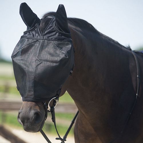 Maska chroniąca konia przed owadami, doczepiana do ogłowia.