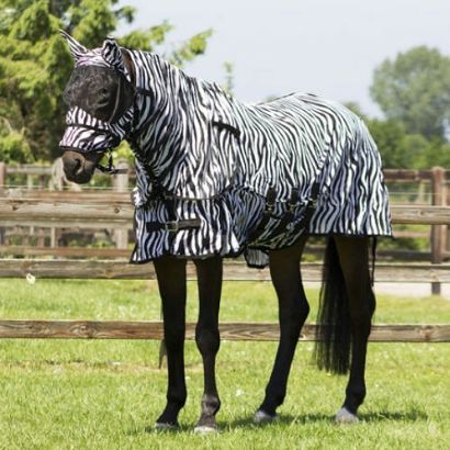 Rug with neck and hood QHP ANTI-FLY / 6013