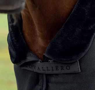 Sweat Blanket COVALLIERO Anniversary graphite - 2