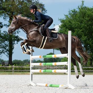 Podkładka pod siodło QHP Ontario Memory / 3131 - 4