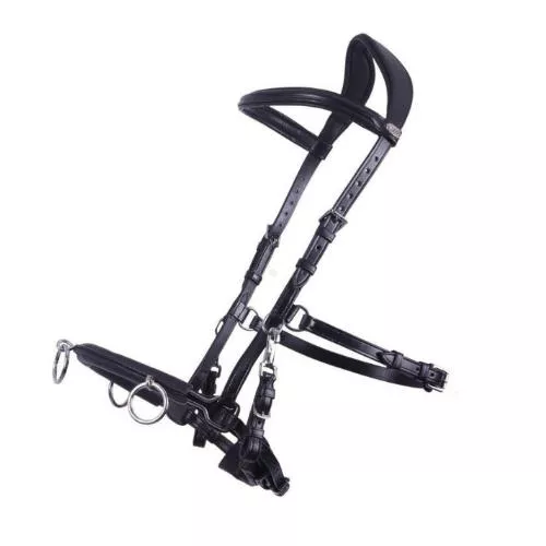 Kawecan skórzany QHP CAVESSON - czarny