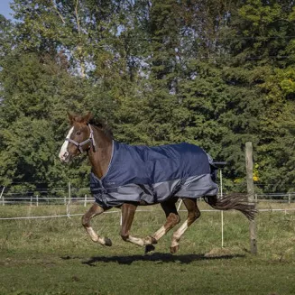 Derka padokowa przeciwdeszczowa EQUI-THÈME Tyrex 600D, z ociepleniem 150g z kołnierzem / 4009157 - 4