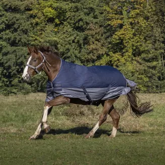 Derka padokowa przeciwdeszczowa EQUI-THÈME Tyrex 600D, z ociepleniem 150g z kołnierzem / 4009157 - 5
