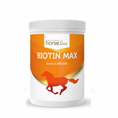 HorseLinePRO Biotyna BiotinMax 1000g