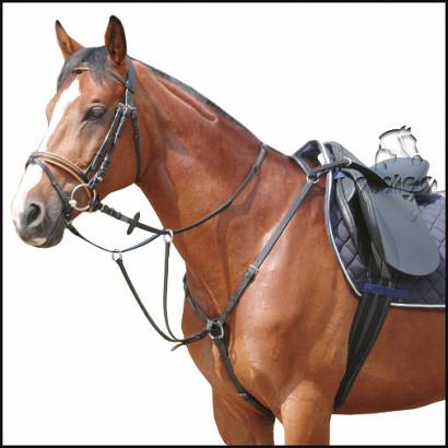 Leather breastplate with running martingale DAW-MAG / 13010  