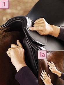 1. Po ustawieniu konia na równym i prostym podłożu położyć prawidłowo na jego grzbiecie siodło.
Zaznaczyć kredą po obu stronach pod łękiem punkty występowania ćwieków. 