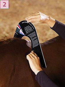 Umieścić miarkę EASY-CHANGE® Gullet Gauge pionowo nad kłębem konia. Nastepnie dopasować miernik do wcześniej zaznaczonych punktów.