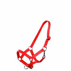 Foal headcollar  F- foal MUSTANG  red  / 0011