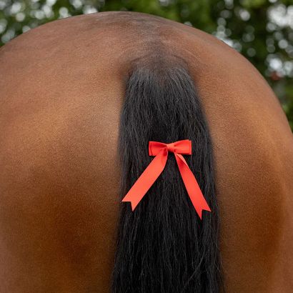 Warning bow QHP / 8355