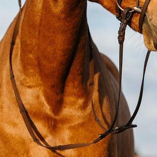 RIDING WORLD bridle with flash noseband Havane / 301009 - 2