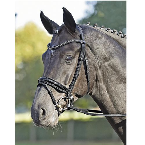 BUSSE  LUXURY Bridle / 120076