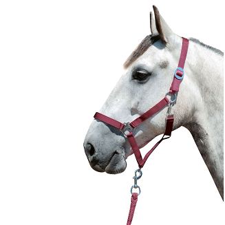 Halter HKM Stars Economy  Dark Red / 66143 - 2