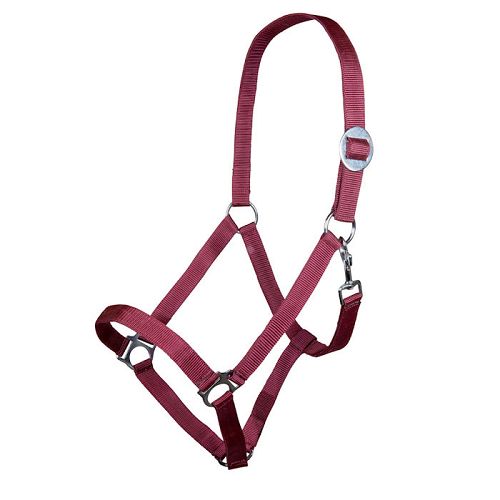 Halter HKM Stars Economy  Dark Red / 66143