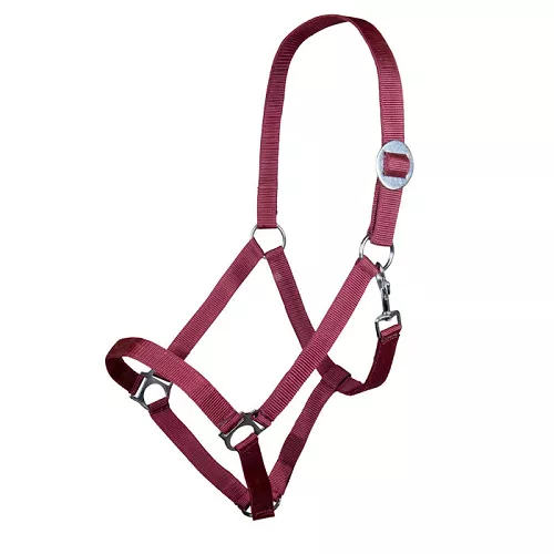 Kantar taśmowy HKM Stars Economy  Dark Red / 66143