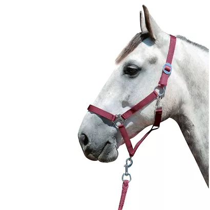 Halter HKM Stars Economy  Dark Red / 66143