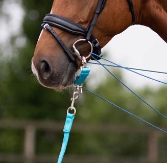 Lunge attachment QHP / 1084 - 8