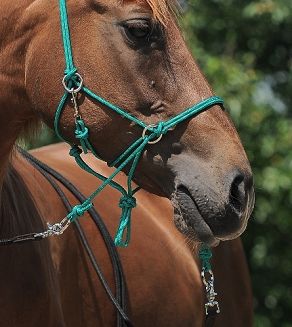 NATURAL Ogłowie bezwędzidłowe linowe