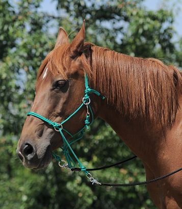 Bitless bridle  LAGAT Natural