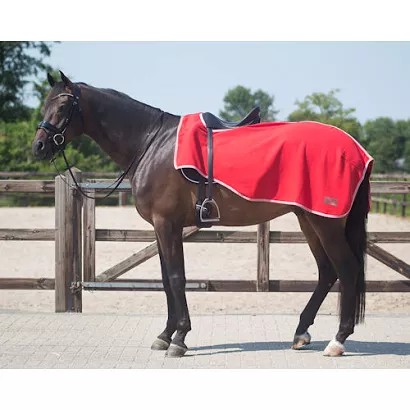 QHP Exercise rug fleece Color / 6145