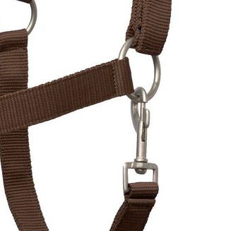 Halter HORZE Howard espresso brown/ 22244 - 5