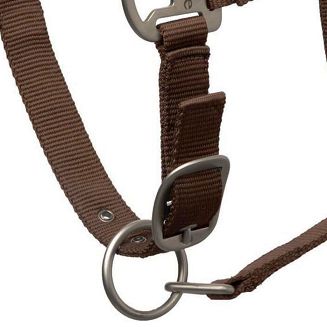 Halter HORZE Howard espresso brown/ 22244 - 6