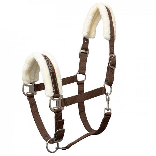 Halter HORZE Howard espresso brown/ 22244