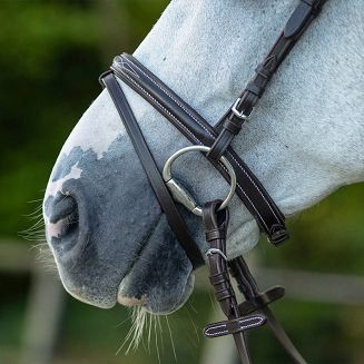 Nachrapnik kombinowany (angielski ze skośnikiem) pomaga stabilizować wędzidło oraz ogranicza nadmierne otwieranie pyska przez konia