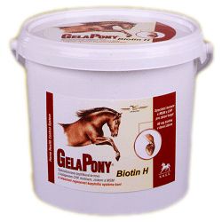 ORLING Gelapony® Biotin H - proszek 1200g / 1104B