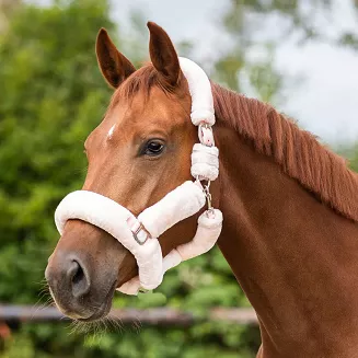 Kantar z futrem sztucznym QHP ALASKA / 1097 pink