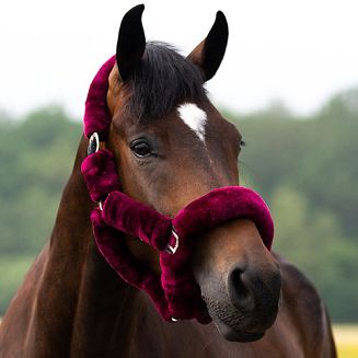 Kantar z futrem sztucznym QHP ALASKA / 1097 / burgundy / black