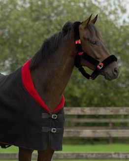 Kantar QHP Alaska - obszyty sztucznym futrem / 1097 - 10