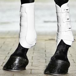 BUSSE Boots  DRESSAGE-PRO / 6055