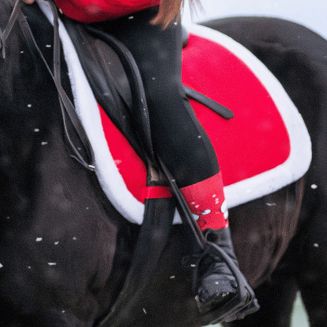 Czaprak wszechstronny PVS Y Świąteczny PONY czerwony / 2535 - 2