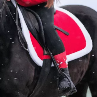 Czaprak wszechstronny PVS Y Świąteczny PONY czerwony / 2535 - 2