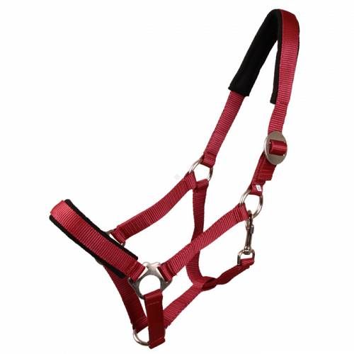 Padded tape halter MUSTANG 44 maroon / 00022