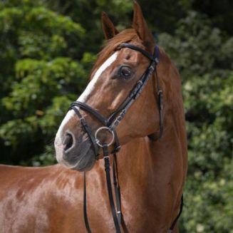 Ogłowie skórzane RIDING WORLD z nachrapnikiem kombinowanym  / 30100 - 2