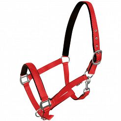 Halter FLUO lined - red