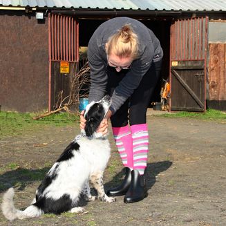 0420 Rubber jodhpur boots (sizes: 33-41) - 10