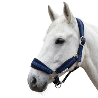 Web Halter MUSTANG  with Fleece Padding, Navy MADE IN POLAND