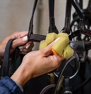 Tack Cleaning Sponge CARR & DAY & MARTIN / LC038 - 2
